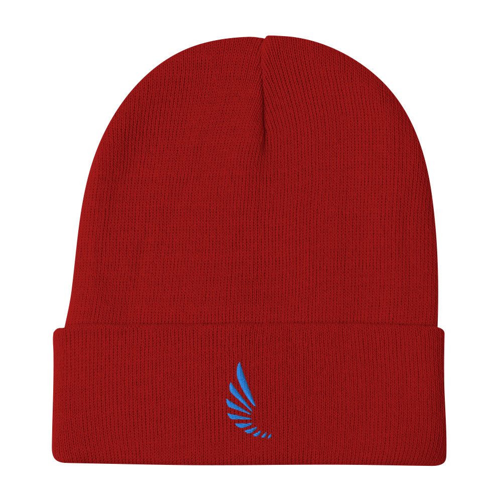 Beanie (blue Logo)
